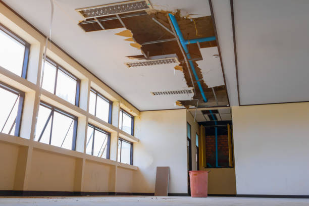 Best Water damage restoration process  in Norwood, OH
