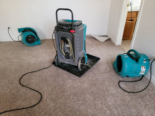 Best Flooded house restoration  in Norwood, OH