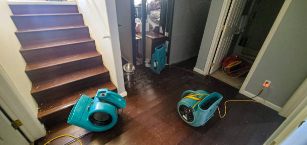 Best Water damage contractors near me  in Norwood, OH