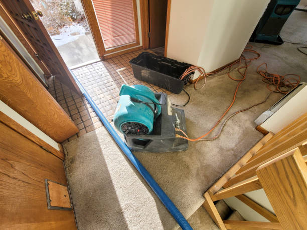 Water damage restoration process in Norwood, OH