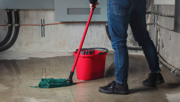 Best Water damage contractors near me  in Norwood, OH
