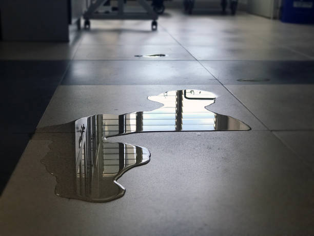 Best Professional water damage repair  in Norwood, OH