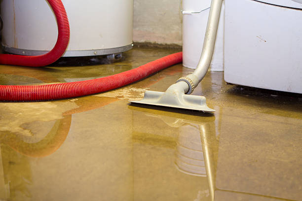 Best Residential water damage restoration  in Norwood, OH