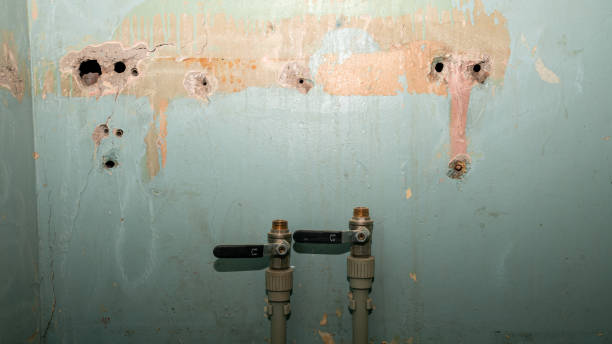 Best Water damage restoration near me  in Norwood, OH