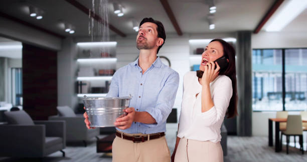 Best Professional water damage repair  in Norwood, OH
