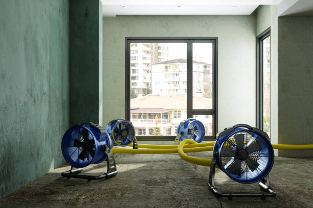 Best Commercial water damage restoration  in Norwood, OH