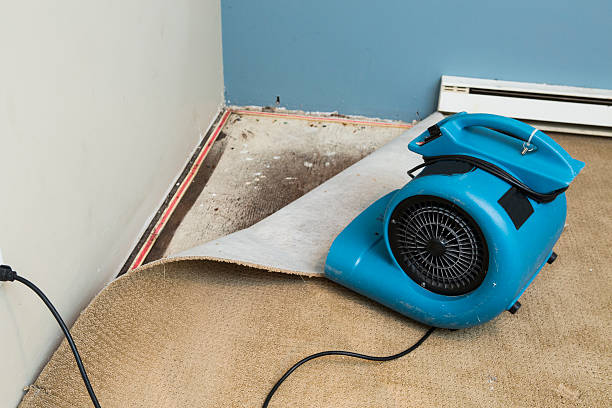 Best Ceiling water damage repair  in Norwood, OH