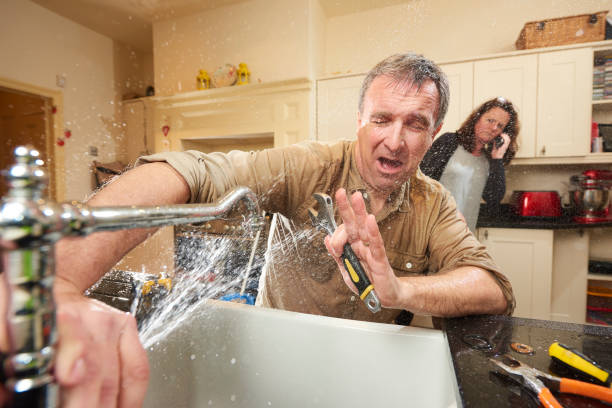 Best Fire Damage Restoration  in Norwood, OH